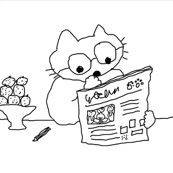 JCREW 🧸 Sweater, CAMO cotton EUC ⭐️ - Picture 8 of 9